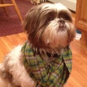 Meet your Posher, Jackie